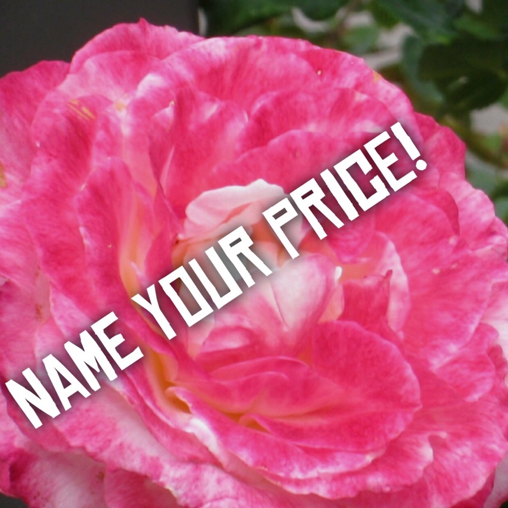 Looking To Move Items Fast. - image 1